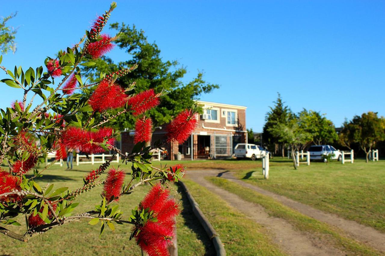 African Adventures Accommodation Durbanville Εξωτερικό φωτογραφία